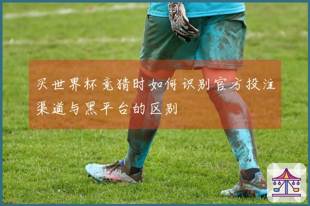 买世界杯竞猜时如何识别官方投注渠道与黑平台的区别