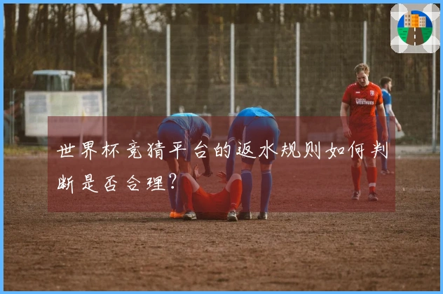 世界杯竞猜平台的返水规则如何判断是否合理？