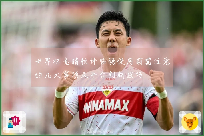 世界杯竞猜软件临场使用前需注意的几大事项及平台判断技巧