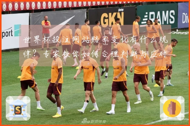 世界杯投注网站赔率变化有什么规律？专家教你如何合理判断与应对