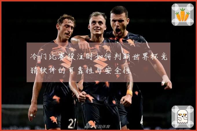 冷门比赛投注时如何判断世界杯竞猜软件的可靠性与安全性