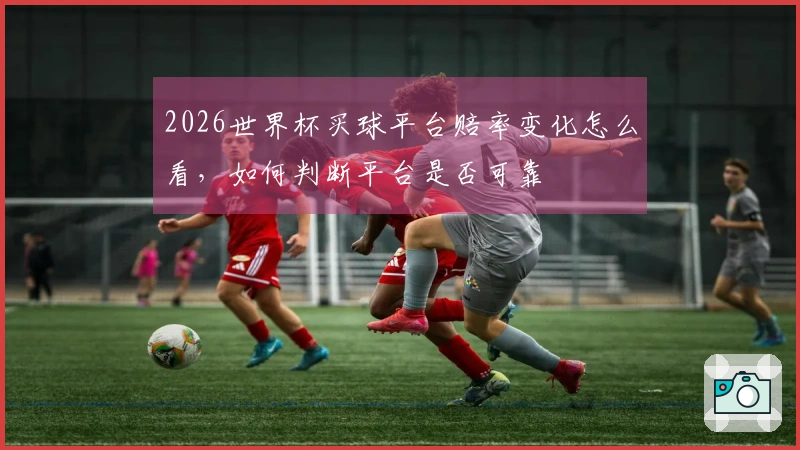 2026世界杯买球平台赔率变化怎么看，如何判断平台是否可靠