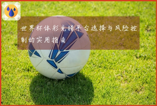 世界杯体彩竞猜平台选择与风险控制的实用指南