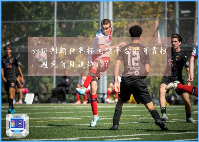 如何判断世界杯竞猜平台的可靠性，避免盲目追热门？