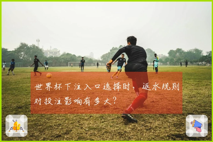 世界杯下注入口选择时，返水规则对投注影响有多大？