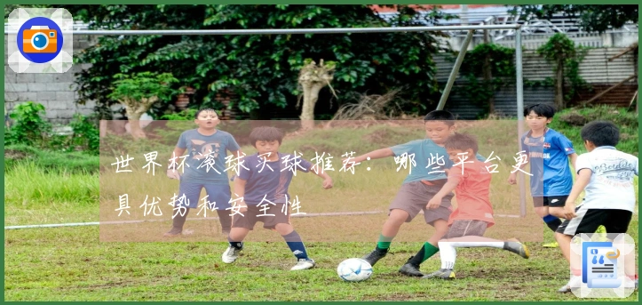 世界杯滚球买球推荐：哪些平台更具优势和安全性