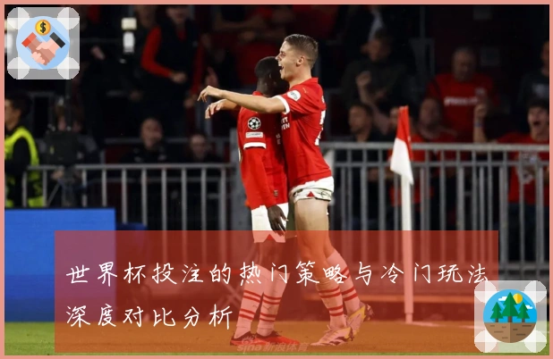 世界杯投注的热门策略与冷门玩法深度对比分析