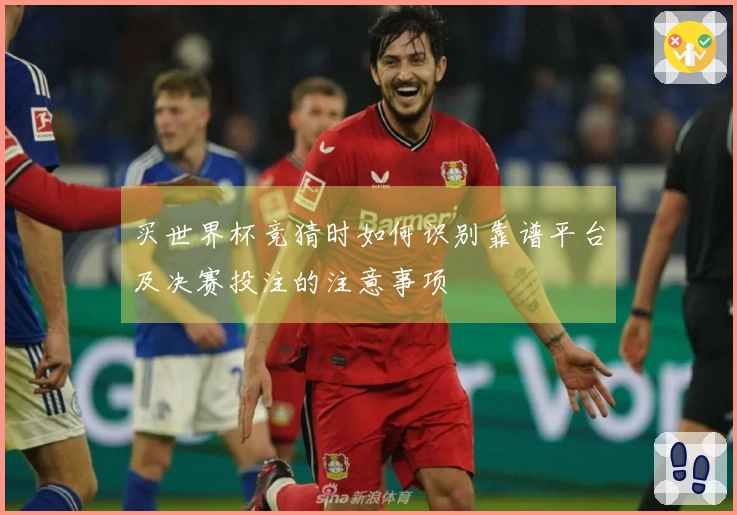 买世界杯竞猜时如何识别靠谱平台及决赛投注的注意事项