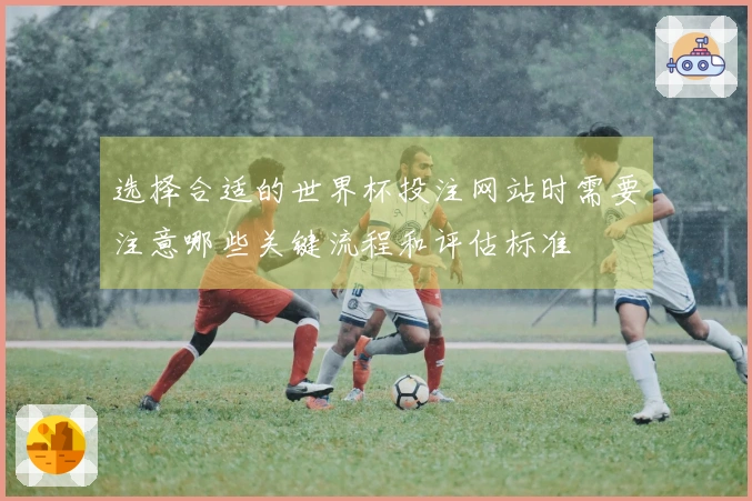 选择合适的世界杯投注网站时需要注意哪些关键流程和评估标准