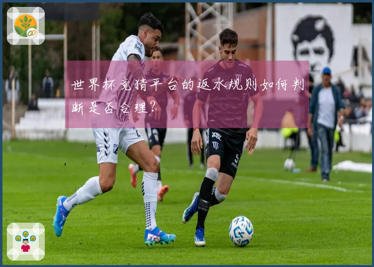 世界杯竞猜平台的返水规则如何判断是否合理？
