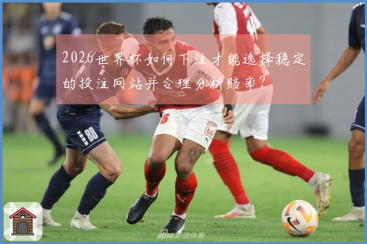 2026世界杯如何下注才能选择稳定的投注网站并合理分析赔率？