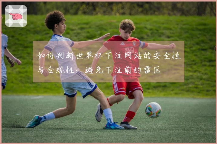 如何判断世界杯下注网站的安全性与合规性，避免下注前的雷区