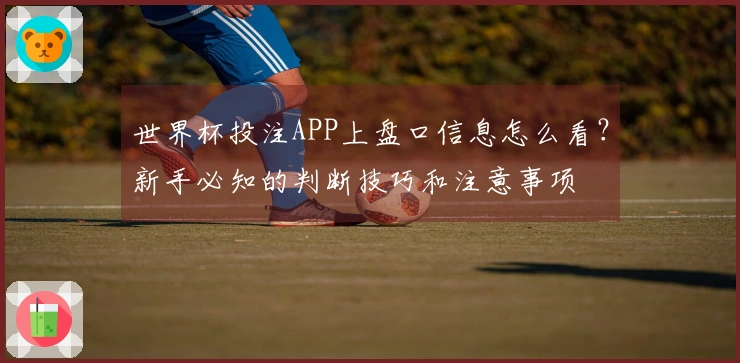 世界杯投注APP上盘口信息怎么看？新手必知的判断技巧和注意事项