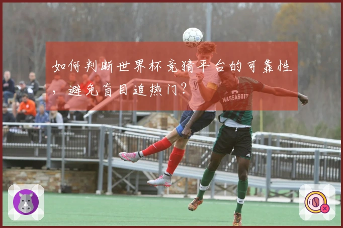 如何判断世界杯竞猜平台的可靠性，避免盲目追热门？