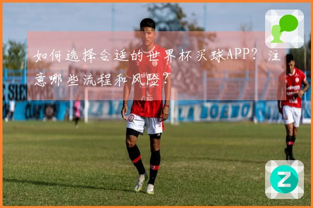 如何选择合适的世界杯买球APP？注意哪些流程和风险？