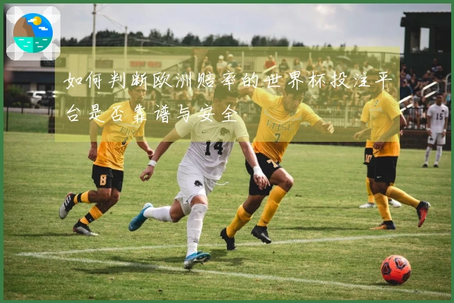 如何判断欧洲赔率的世界杯投注平台是否靠谱与安全