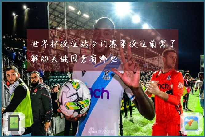 世界杯投注站冷门赛事投注前需了解的关键因素有哪些