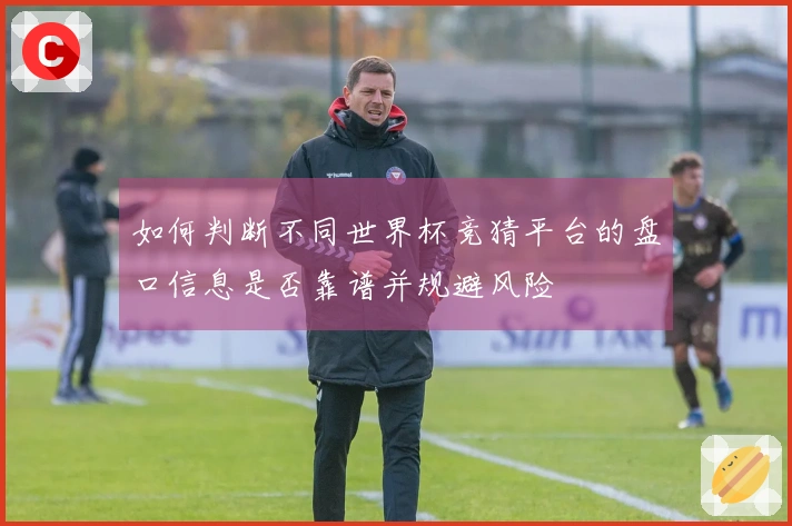 如何判断不同世界杯竞猜平台的盘口信息是否靠谱并规避风险