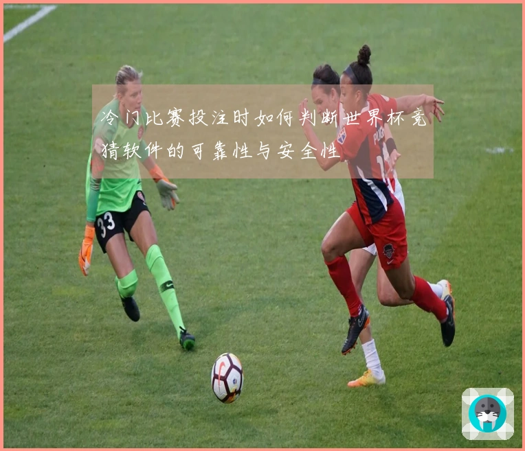 冷门比赛投注时如何判断世界杯竞猜软件的可靠性与安全性