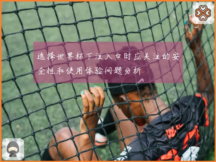 选择世界杯下注入口时应关注的安全性和使用体验问题分析
