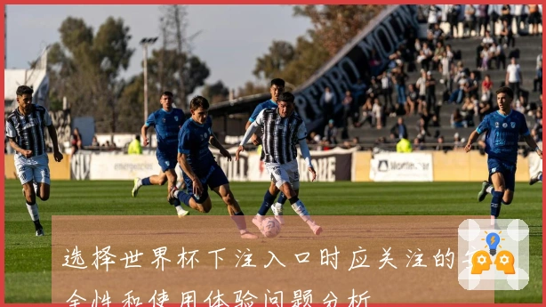 选择世界杯下注入口时应关注的安全性和使用体验问题分析