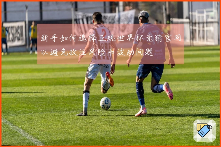新手如何选择正规世界杯竞猜官网以避免投注风险和波动问题