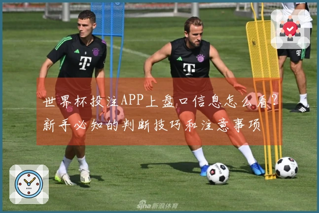 世界杯投注APP上盘口信息怎么看？新手必知的判断技巧和注意事项