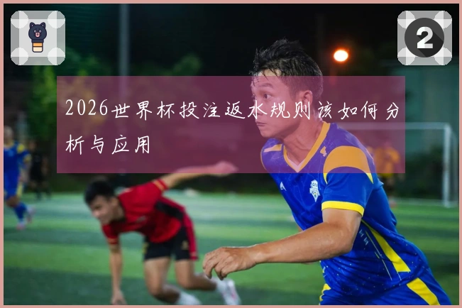 2026世界杯投注返水规则该如何分析与应用